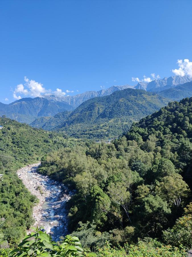 Dhauladhar View Village Resort Dharamshala Exterior photo