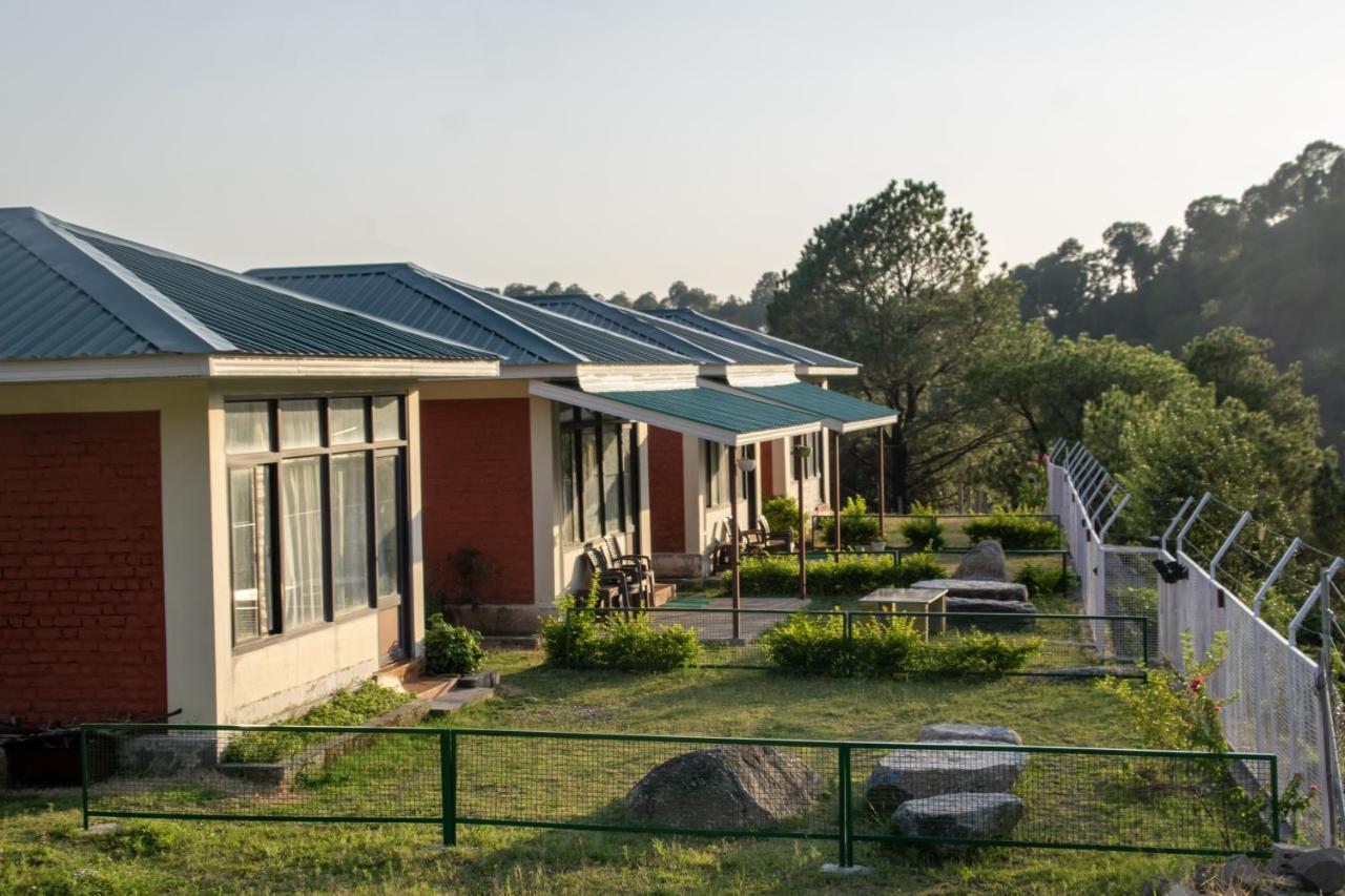 Dhauladhar View Village Resort Dharamshala Exterior photo